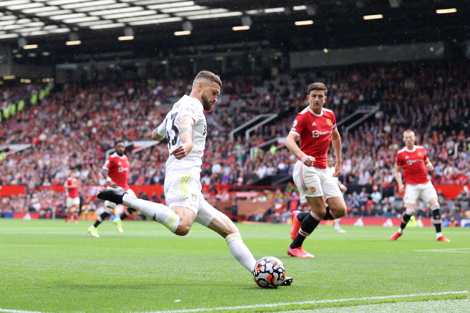 苛的伤病管 苛的伤病管