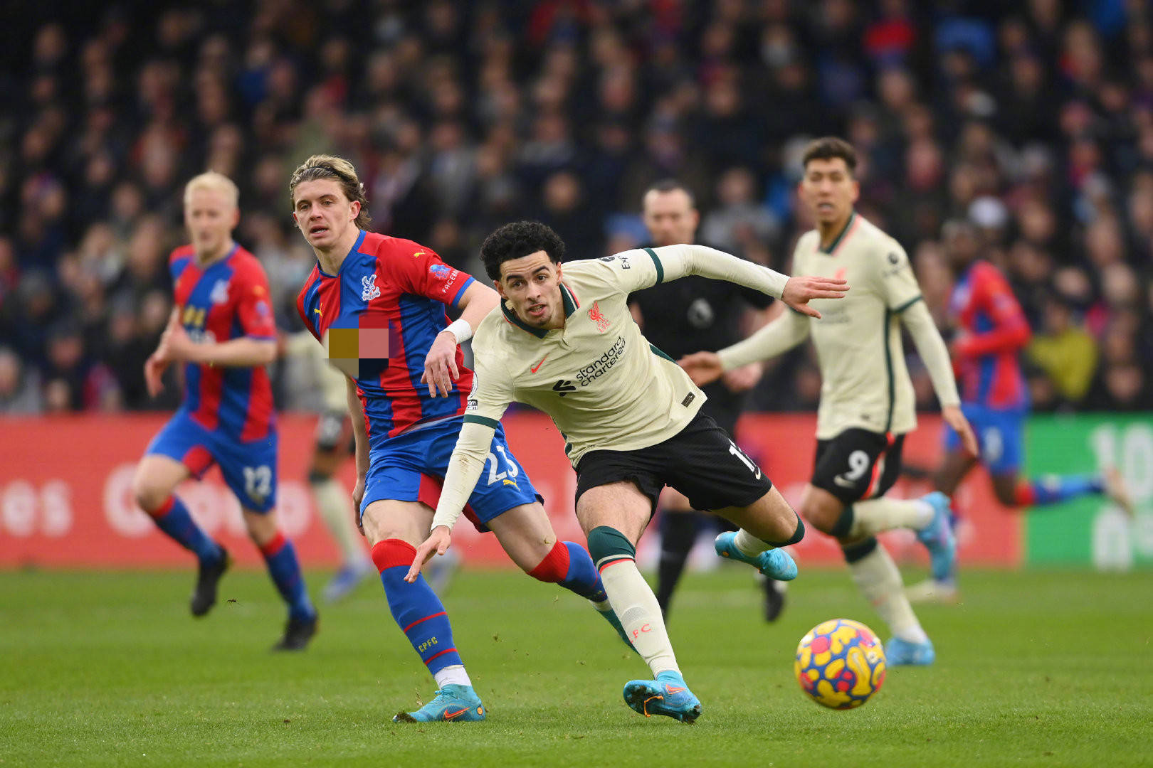 在家乡俱乐 在家乡俱乐